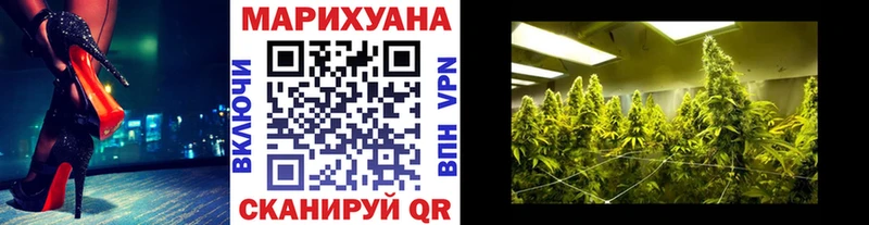 где купить наркотик  Кедровый  Канабис ГИДРОПОН 